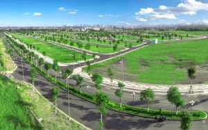 Dự án đất nền