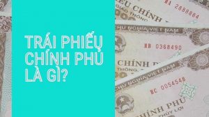 Trai-phieu-Chinh-phu
