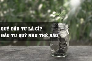 Quỹ đầu tư là gì? Đầu tư quỹ như thế nào