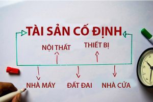 tài sản cố định nước ta